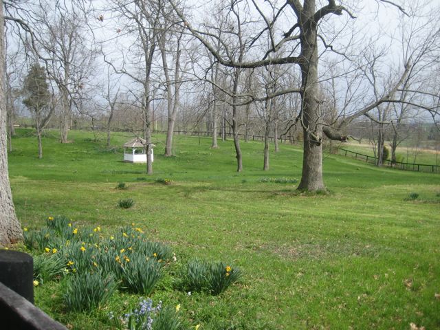 The old well