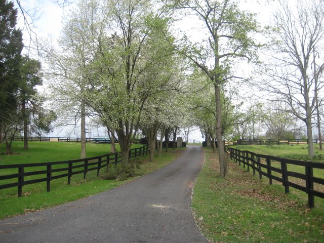 The drive out to the road