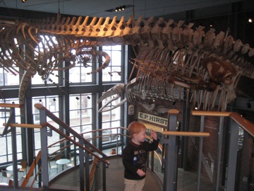 Nikolas at the Whale Museum