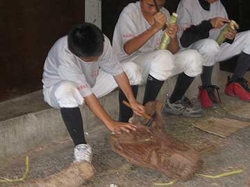 hammering bark