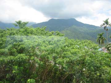 mountains